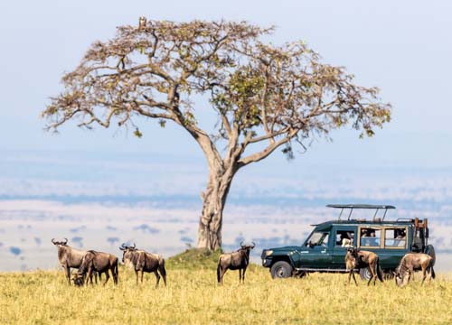 kenya 2 | Spenta Travels & Tours Pvt. Ltd.