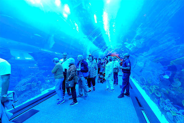 Dubai Aquarium 1 | Spenta Travels & Tours Pvt. Ltd.