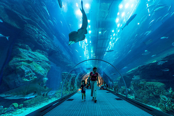 Dubai Aquarium | Spenta Travels & Tours Pvt. Ltd.