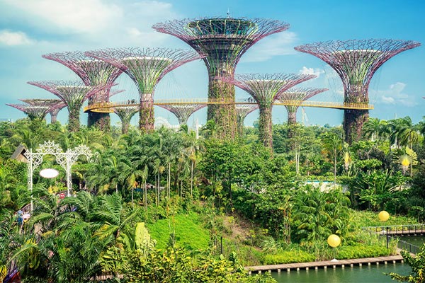 S M Iternary Gardens by the Bay | Spenta Travels & Tours Pvt. Ltd.