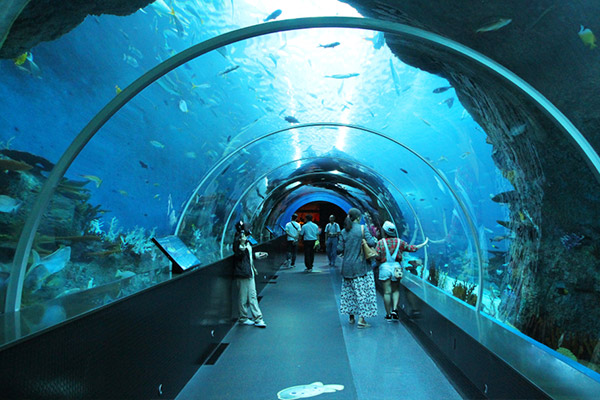 S M Iternary SEA Aquarium | Spenta Travels & Tours Pvt. Ltd.