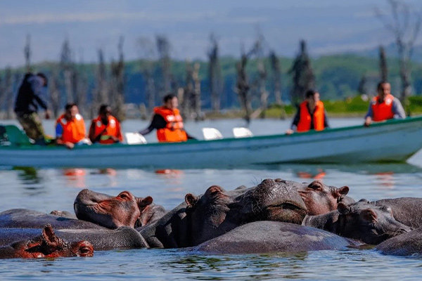 Africa Tour Packages from Mumbai