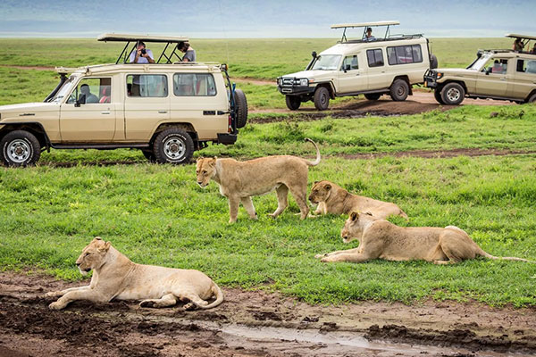 Africa Tour Packages from Mumbai