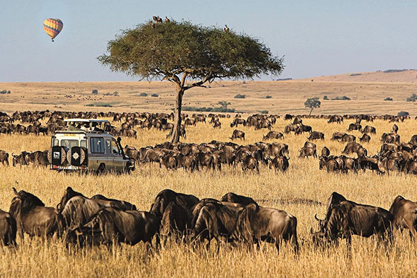 Africa Holiday Packages from Mumbai