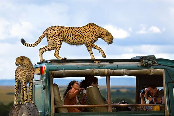 Africa Tour Packages from Mumbai