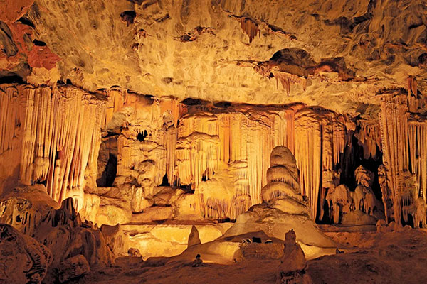 Holiday Tour Packages for Africa