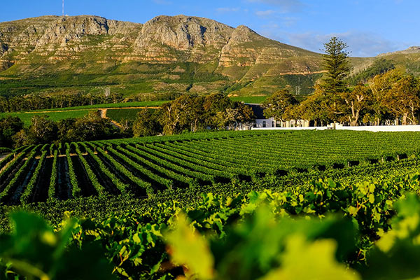 Africa Holiday Packages from Mumbai