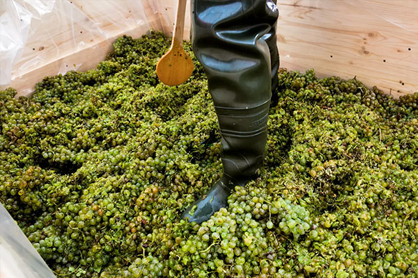 Georgia Holiday Package from Mumbai