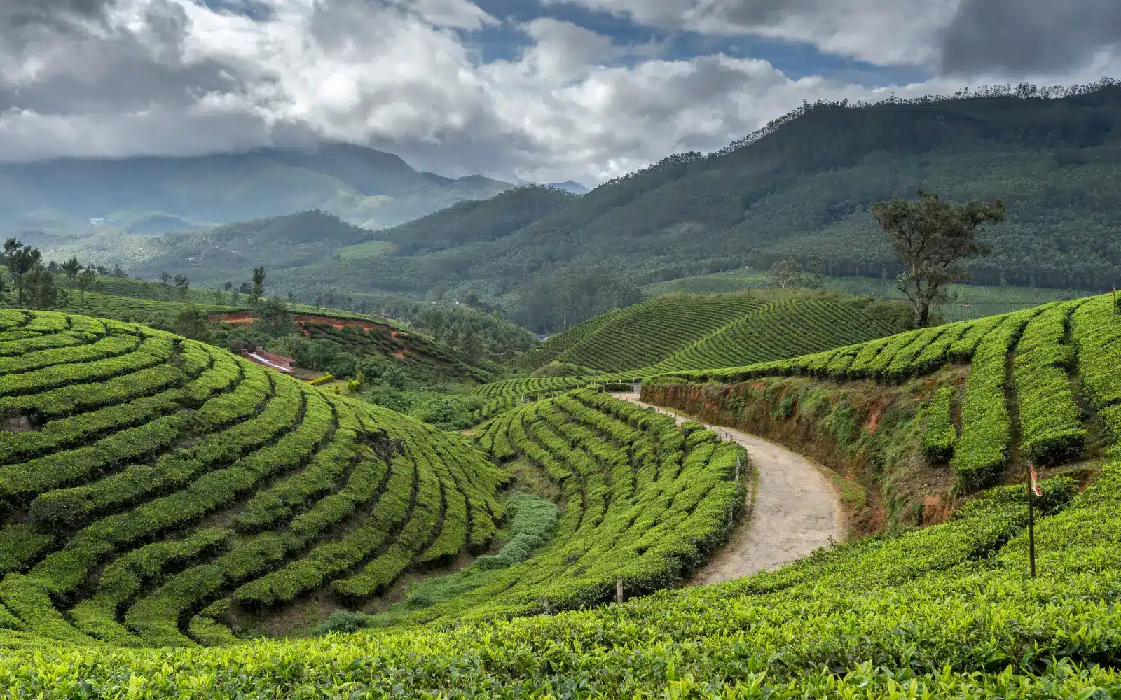 Kerala Tour Package
