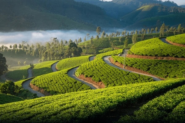 Kerala Trip Package
