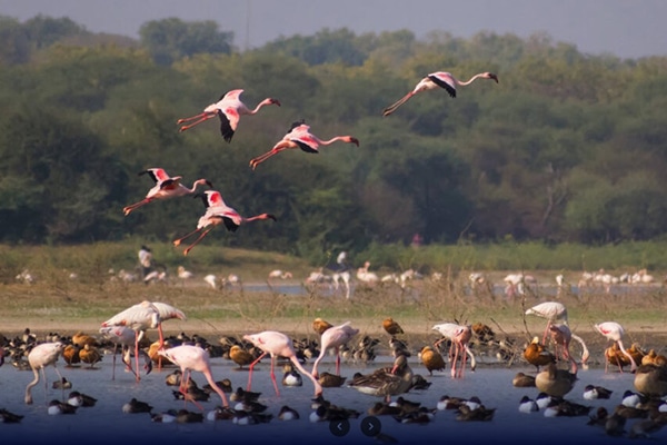 Kerala Trip Package