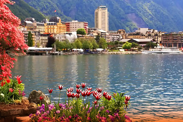 Switzerland Tour Package